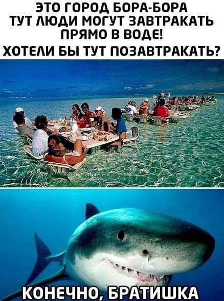 ЭТО ГОРОД БОРА БОРА ТУТ ЛЮДИ МОГУТ ЗАВТРАКАТЬ ПРЯМО В ВОДЕ ХОТЕАИ БЫ ТУТ ПОЗАВТРАКАТЬ КОНЕЧНО БРАТИШКА