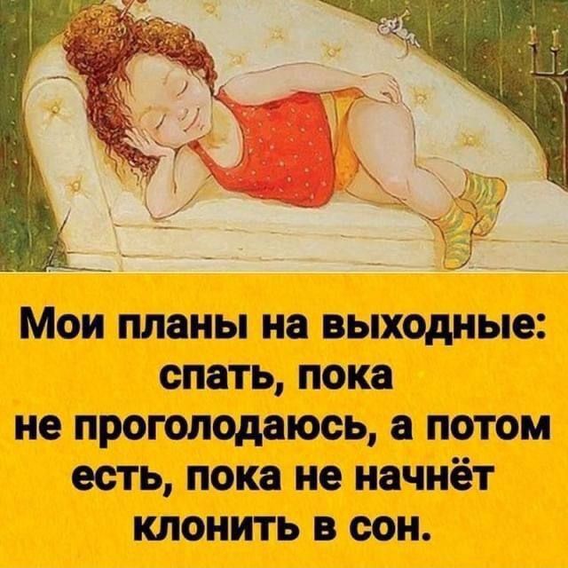 Мои планы на выходные спать пока не проголодаюсь а потом есть пока не начнёт клонить в сон