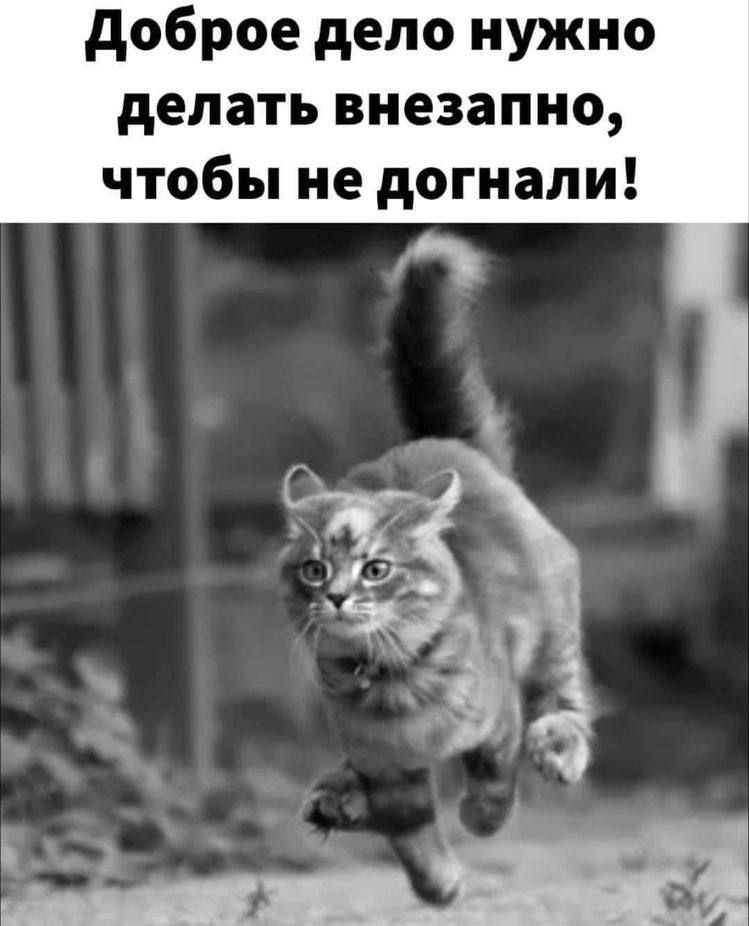 доброе дело нужно делать внезапно чтобы не догнали