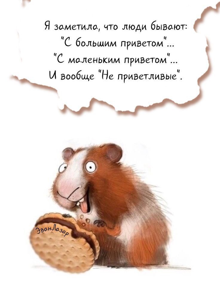 Я заметила что люди бывают С большим приветомч С маленьким приветом И вообще На приваливыс