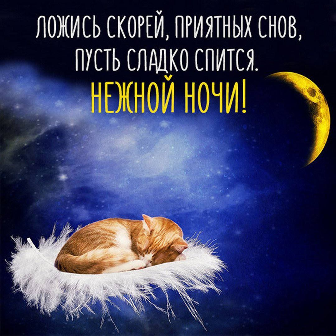 ЛОЖИСЬ СКОРЕЙ ПРИЯТНЫХ СНОВ ПУСТЬ СЛАЦКО СПИТСЯ ЁЕЖНОЙ ночш