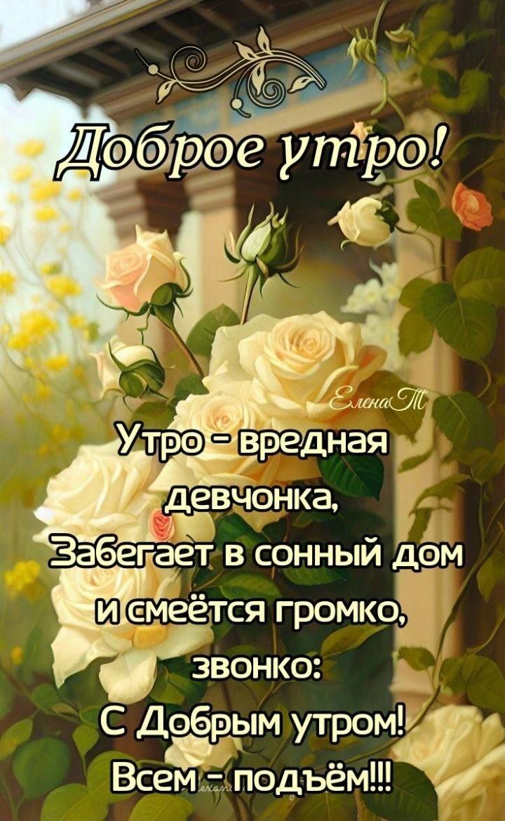 у девчонка Р Забей в сонный дем Евгеётся громко звонко _ С Доёіщэім утромэт Всем3подьём