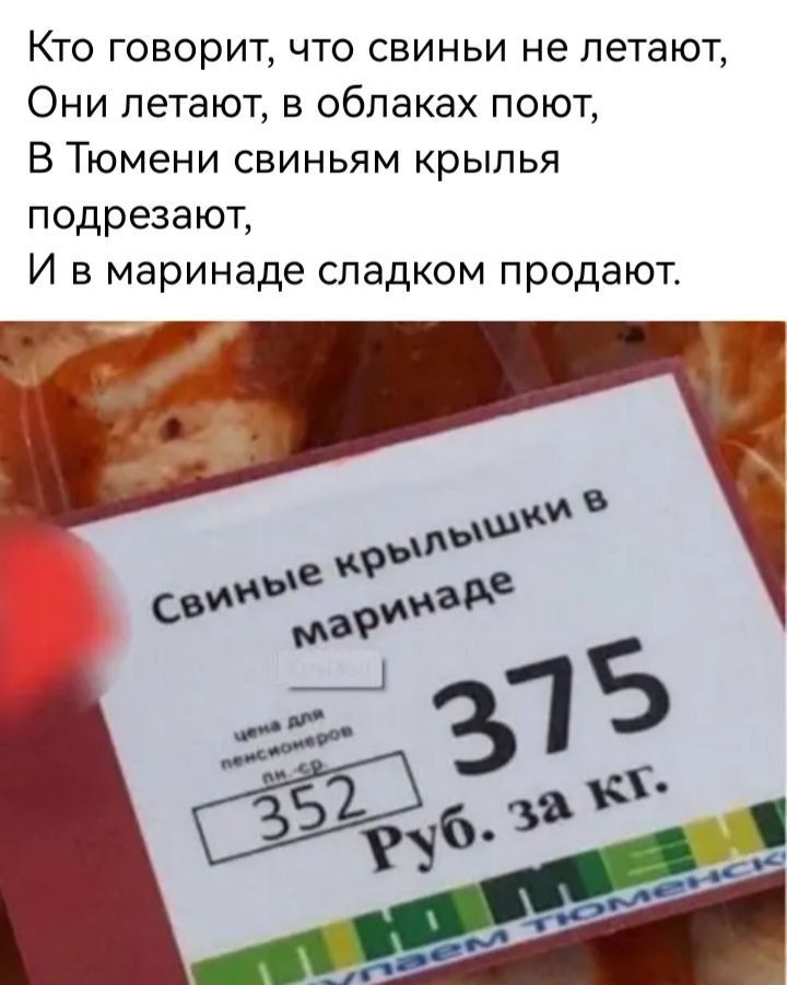 Кто говорит что свиньи не летают Они летают в облаках поют В Тюмени свиньям крылья подрезают И в маринаде сладком продают