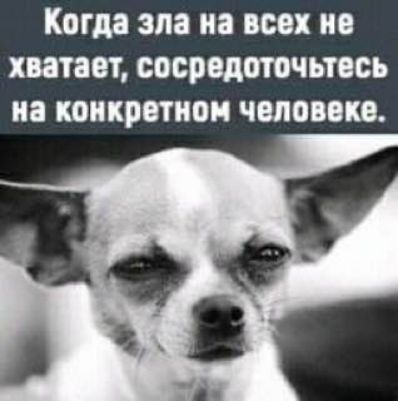 Когда зла 3 ВСЕХ ХМТЗОТ сосредоточьтесь иа КОНКРЕТНО ЧМОВВКВ