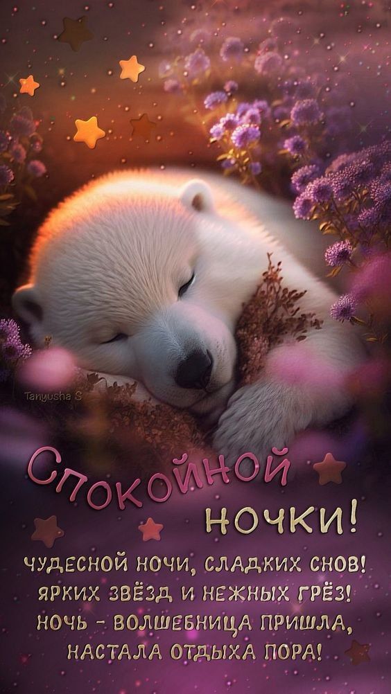 НОЧЬ ВОЛШЕБНИЦА НАСТАЛА ОТДЫ вЕ