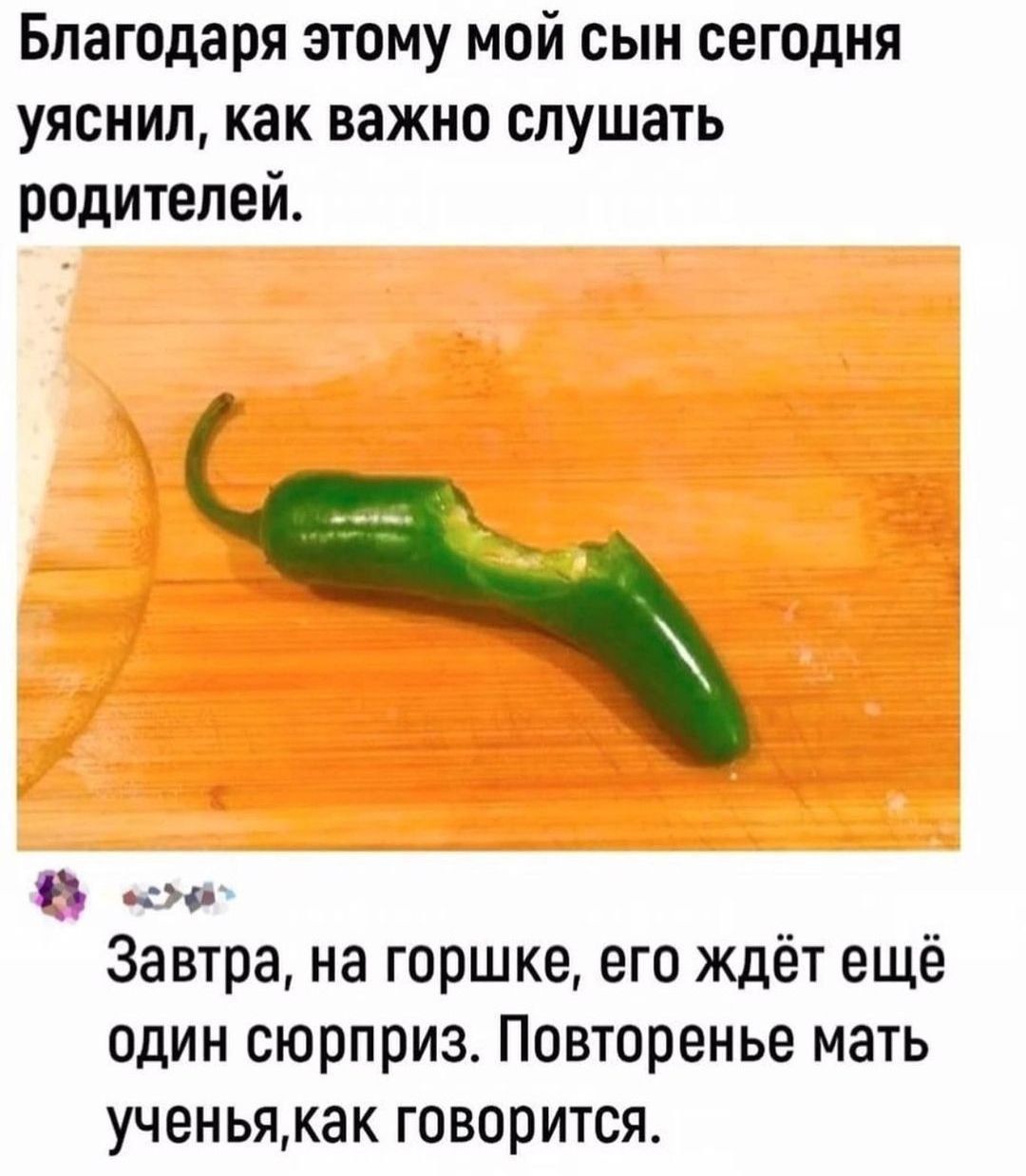 Благодаря этому мой сын сегодня уяснил как важно слушать родителей 9 ю Завтра на горшке его ждёт ещё один сюрприз Повторенье мать ученьякак говорится