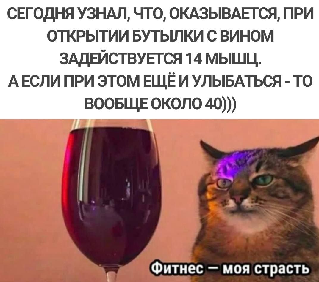 свгодня УЗНАЛ что омаывшся при открьпии БУТЫЛКИ с вином ЗАДЕЙСТВУЕГСЯ 14 мышц А ЕСЛИ при этом ЩЁ и упывАться то воовщв около 40 ФИТНЕС _ МОЯ СТРЗСТЬ