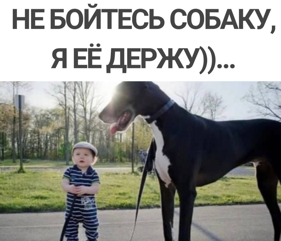НЕ войтвсь СОБАКУ я ЕЁ ДЕРЖУ