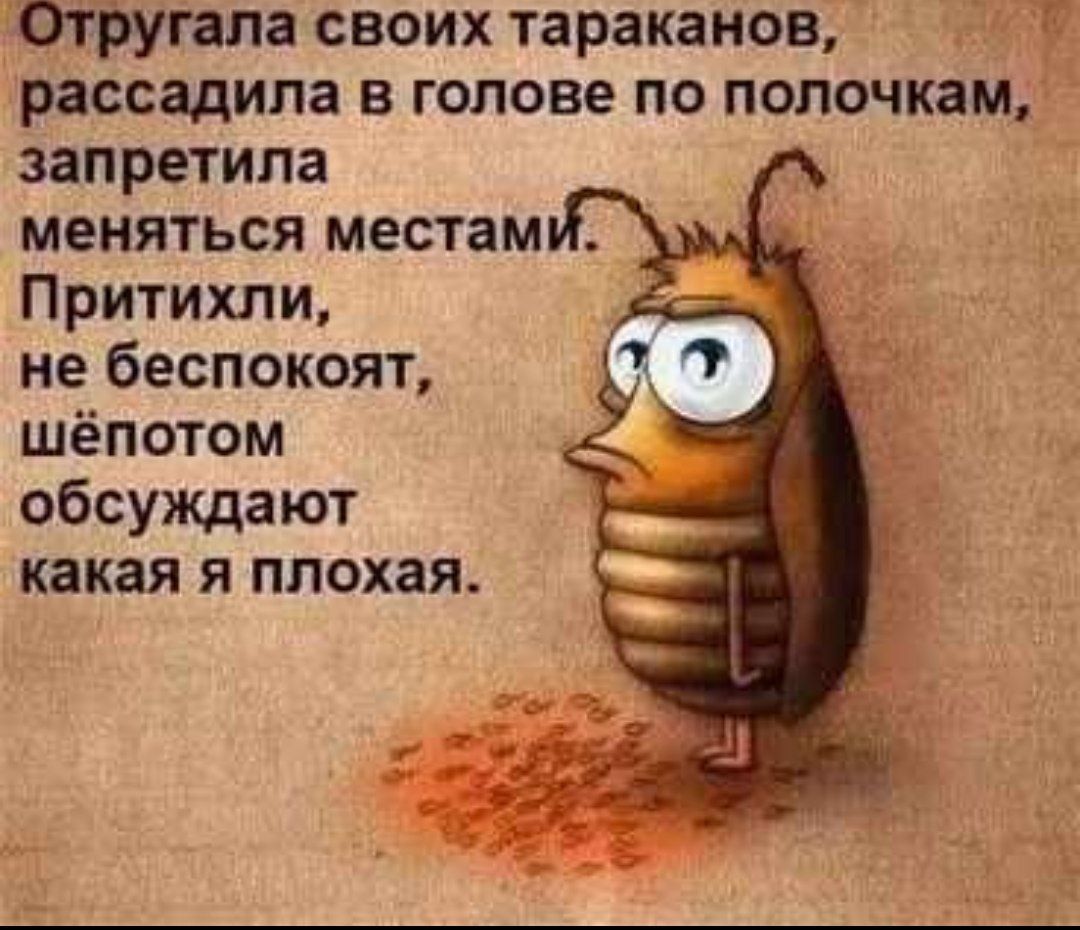 Отругапа своих тараканов рассадипа в голове по полочкам запретила меняться местам Притихли не беспокоят шёпотом обсуждают какая я плохая