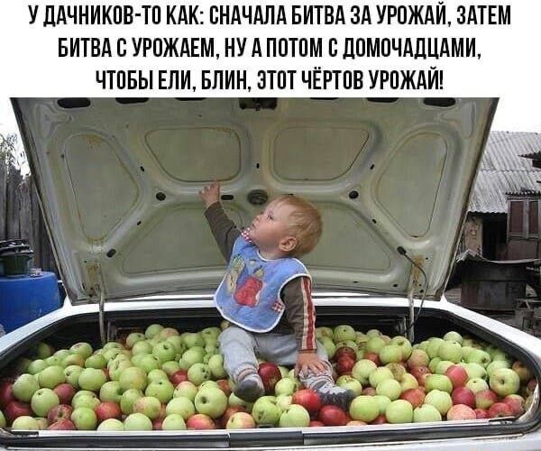 У ЛАЧНИКПВ ТП КАК СНАЧАЛА БИТВА ЗА УРПЖАЙ ЗАТЕМ БИТВА С УРПЖАЕМ А ППТПМ В ЛПМПЧАЦЦАМИ ЧТПБЫ ЕПИ БЛИН ЗТПТ ЧЁППВ УРОЖАЙ