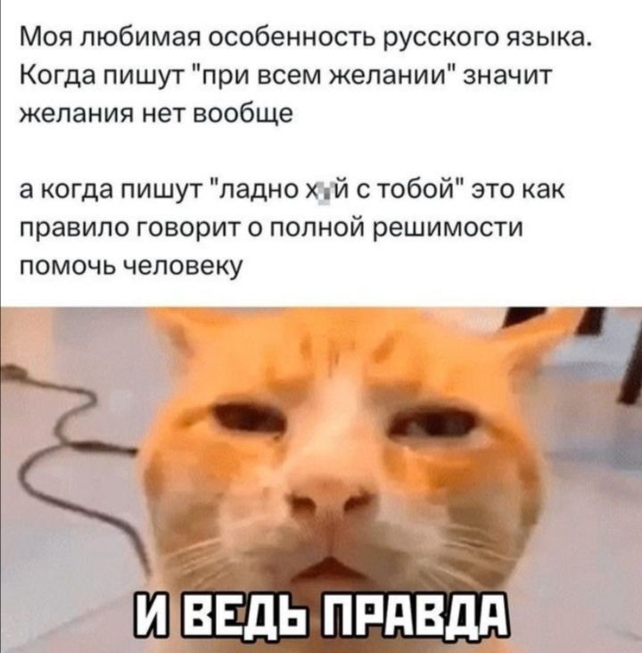 Моя любимая особенность русского языка Когда пишут при всем желании значит желания нет вообще а когда пишут ладно хай тобой это как правило говорит о полной решимости ПОМОЧЬ ЧЕЛОВЕКУ