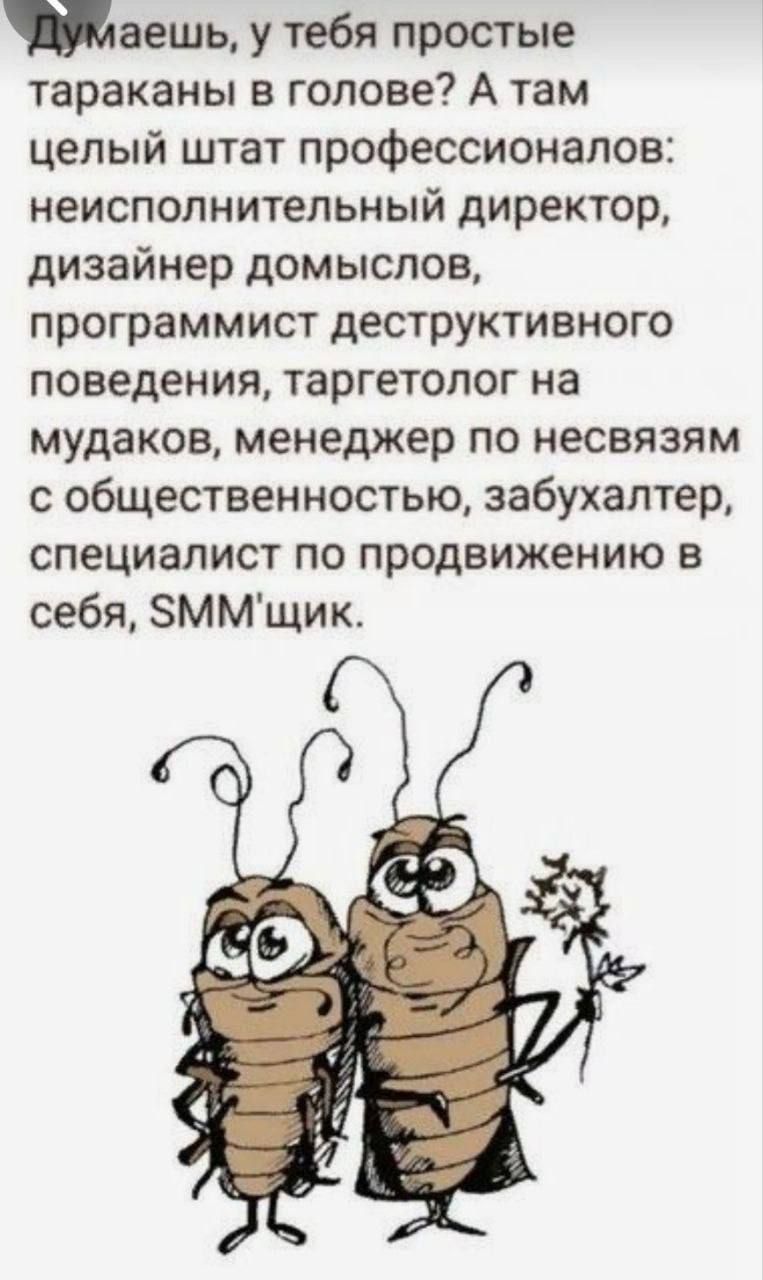 вешь у тебя простые тараканы в голове А там целый штат профессионалов неисполнительный директор дизайнер домыслов программист деструктивного поведения таргетопог на мудаков менеджер по несвязям с общественностью забухаптер специалист по продвижению в себя БММщик