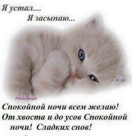 Я устал Я засыпаю Спокойной ночи вет желаю От хвоста и до усов Спокойной ночи Сладкшс снов