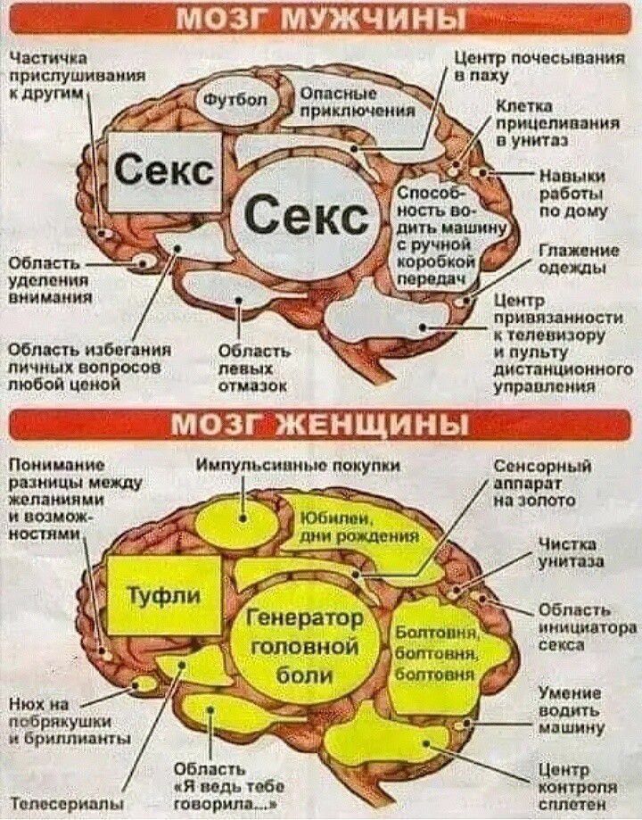 м пиплы ОЗШЕМ ИН скупки ив у