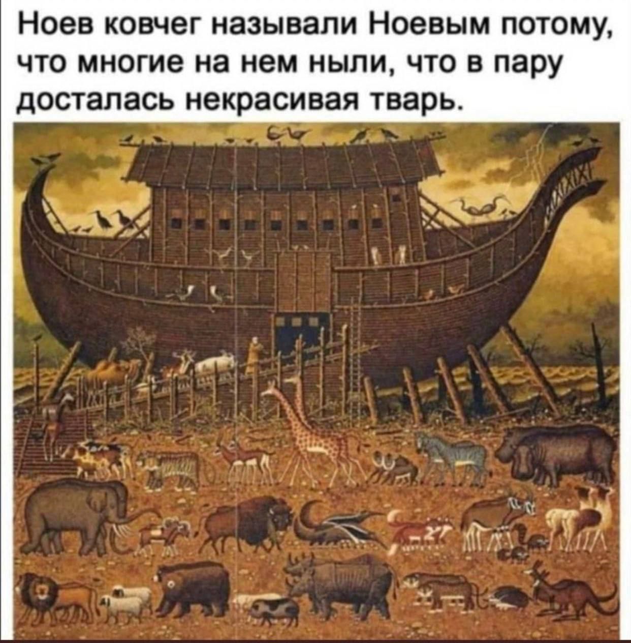 Ноев ковчег называли Ноевым ПОТОМУ ЧТО МНОГИЕ На нем мыли ЧТО В Пару досталась некрасивая тварь
