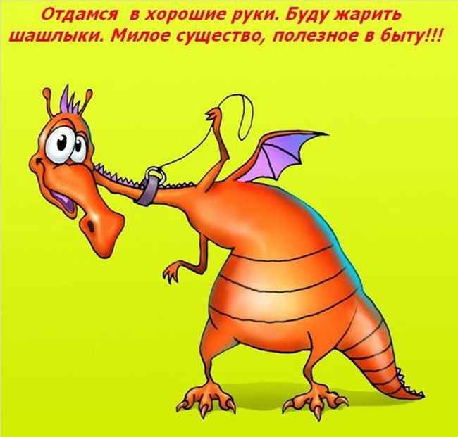 пищитдн