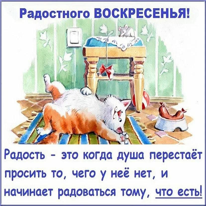 Радостно ВОСКРЕСЕНЬЯ Радость это когда душа перестаёт просить то чего у неё нет и начинает радоваться тому что есть