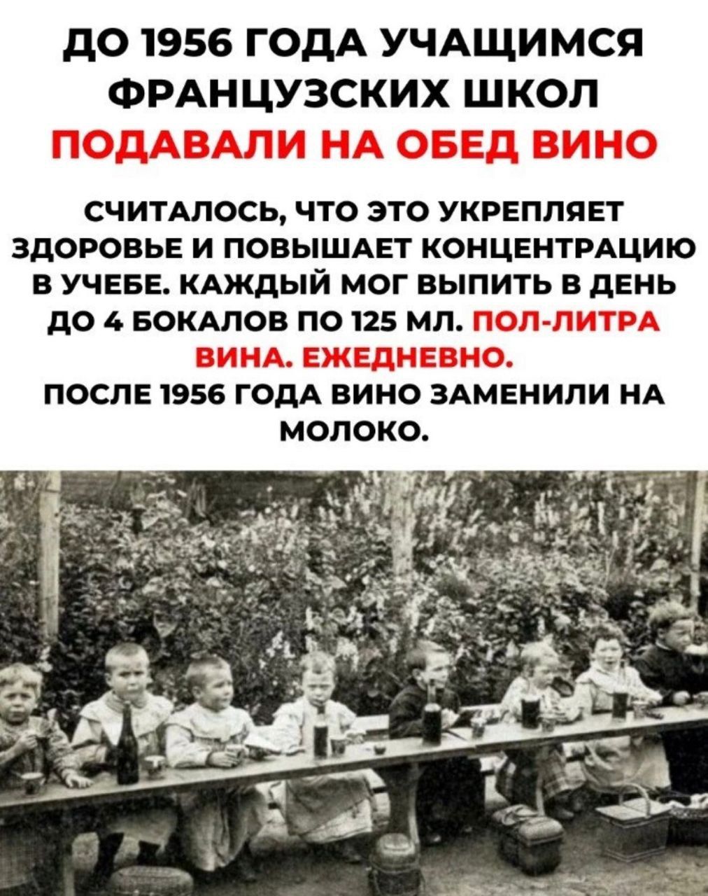 дО 1956 ГОДА УЧАЩИМСЯ ФРАНЦУЗСКИХ ШКОЛ СЧИТАЛОСЬ ЧТО ЭТО УКРЕППЯЕТ ЗДОРОВЬЕ И ПОВЫШАЕТ КОНЦЕНТРАЦИЮ В УЧЕБЕ КАЖДЫЙ МОГ ВЫПИТЬ В дЕНЬ до БОКАЛОВ ПО 125 МП ПОСЛЕ 1956 ГОДА ВИНО ЗАМЕНИПИ НА МОЛОКО
