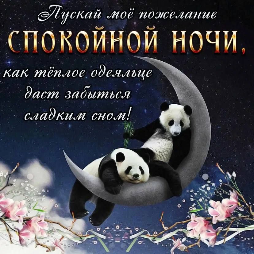 дТутти таё иожмтше СПОКОЙНОЙ НОЧИ КЛК тёилое удилище дтт аидштш мидсим сном Ф