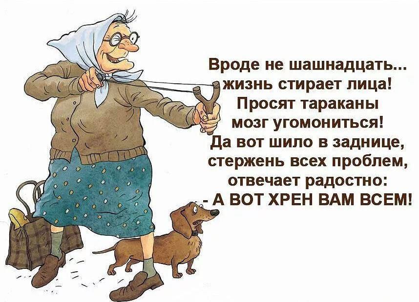 Вроде не шашиадцать жизнь стирает лица Просят тараканы мозг угомоиитьсяі да вот щит в заднице стержень всех проблем отвечает радостно А ВОТ ХРЕН ВАМ ВСЕМ
