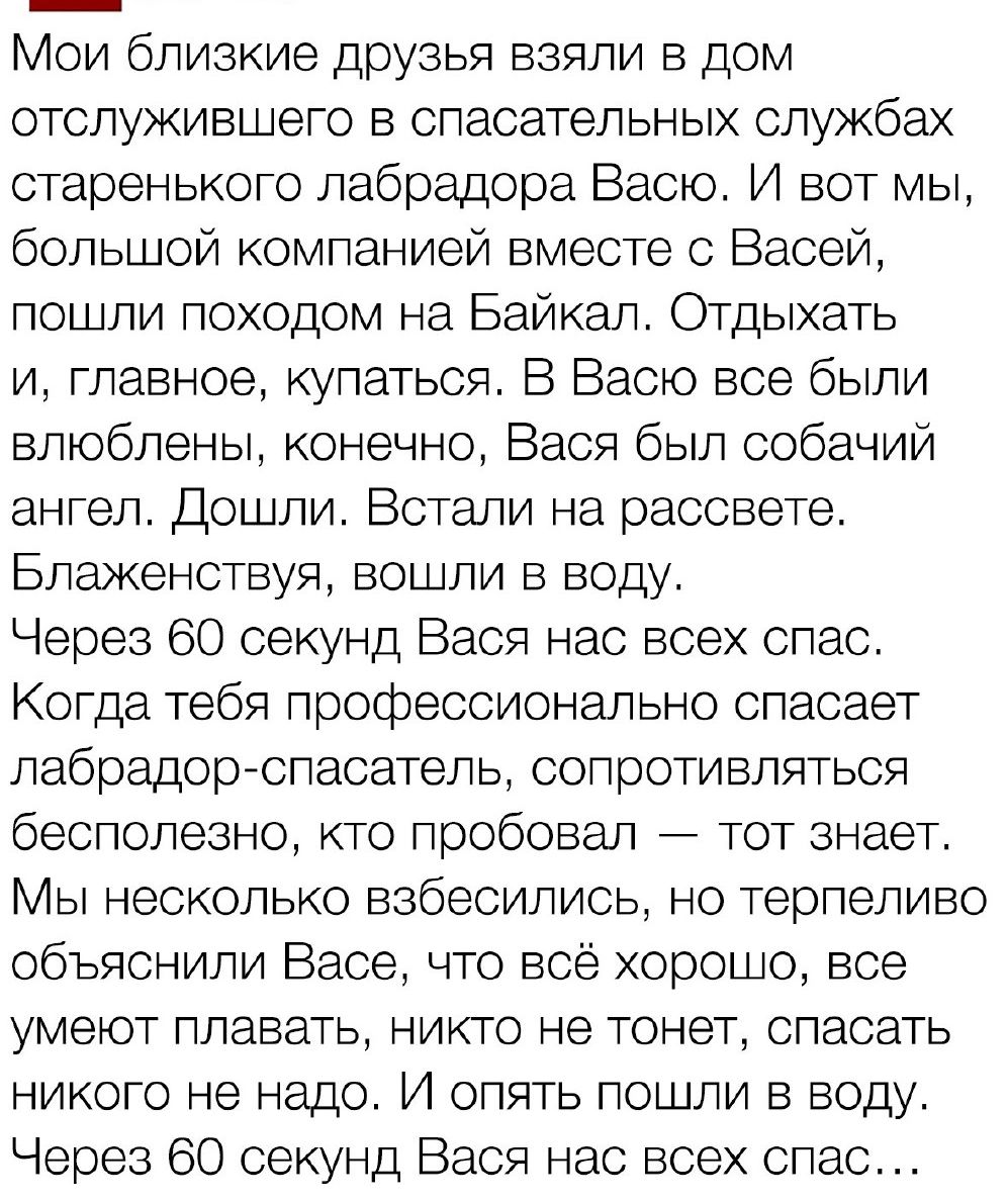 Мои близкие друзья взяли в дом отслужившего в спасательных службах старенького лабрадора Васю И вот мы большой компанией вместе с Васей Пошли походом на Байкал Отдыхать и главное купаться В Васю все были влюблены конечно Вася был собачий ангел Дошли Встали на рассвете Блаженствуя вошли в воду Через 60 секунд Вася нас всех спас Когда тебя профессионально спасает лабрадор спасатель сопротивляться бе