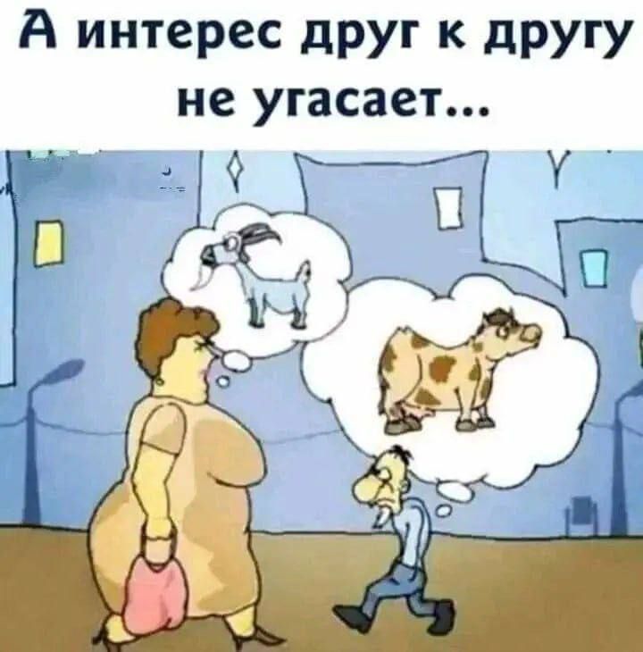 А интерес дРУг к другу не угасает