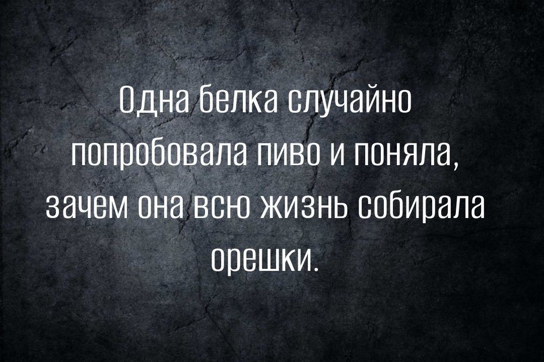 Одна балка случайно попробовала пиво и поняла зачем она всю жизнь собирала орешки