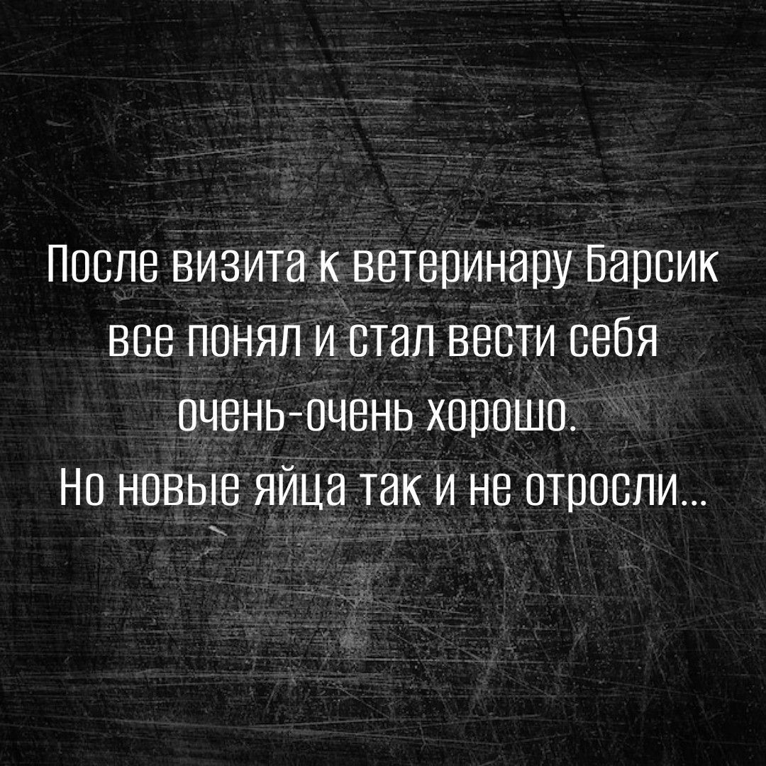 ПОСЛЕ ВИЗИТЭ К ВЕТВПИНЭПУ БЭПВИК ВСВ ПОНЯП И СТЭП ВЕСТИ СЕБЯ ОЧЕНЬ ОЧЕНЬ ХОППШВ НО НОВЫЕ ЯЙЦВ ТЭК И НЕ МЕБЕЛИ