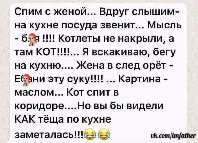 Спим женой ВдРУг слышим на кухне посуда звенит Мысль 65 Котлеты не накрыли а там КО Я вскакиваю бегу на кухню Жена в след орёт Ени эту суку Картина маслом Кот спит в коридореНо вы бы видели КАК тёща по кухне заметапась шпон