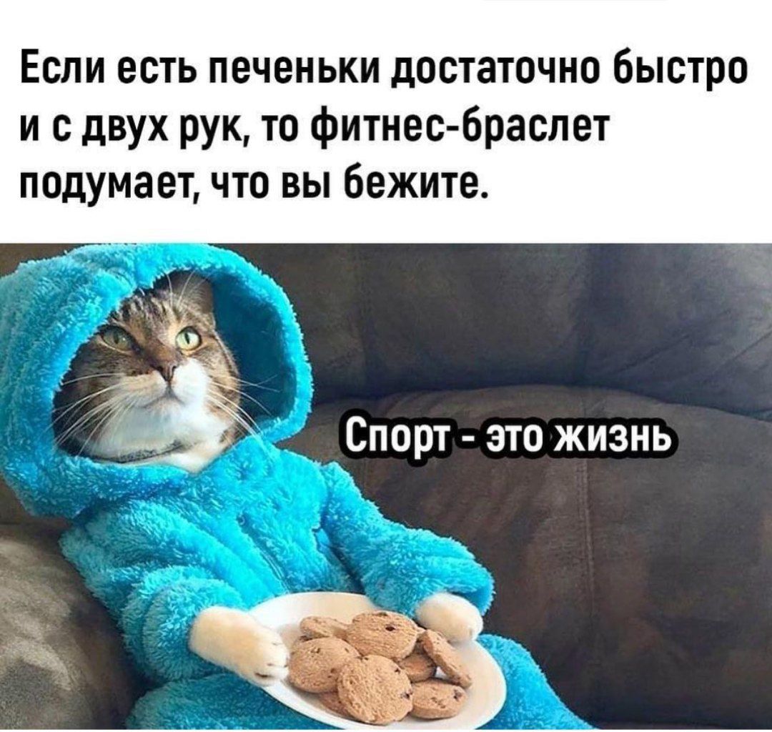 Если есть печеньки достаточно быстро и с двух рук то фитнес браслет ПОДУМЗЕТ ЧТО ВЫ БЕЖИТЕ Спорт это жизнь