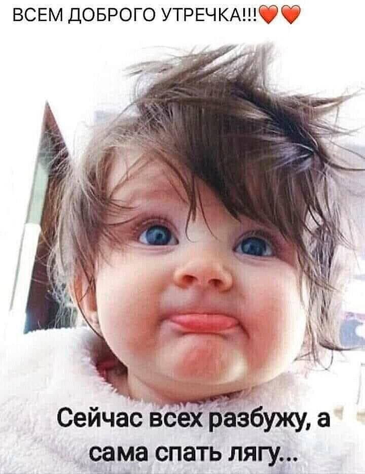 ВСЕМ ДОБРОГО УТРЕЧ КАЦЕЁ О Сейчас всех разбужу а сама спать лягу