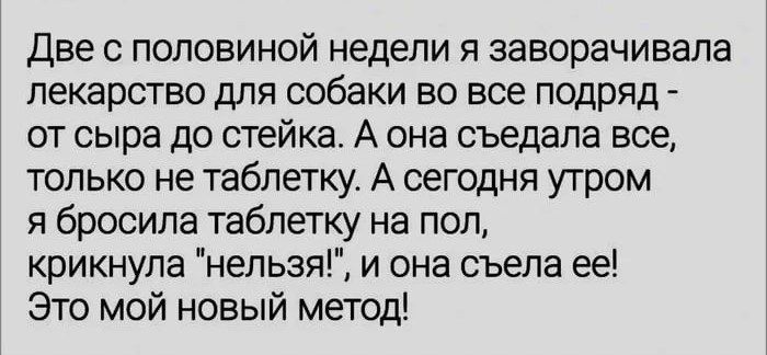 Две с половиной недели и заворачивала лекарство для собаки во все подряд от сыра до стейка А она съедапа все только не таблетку А сегодня утром я бросила таблетку на пол крикнула нельзя и она съела ее Это мой новый метод