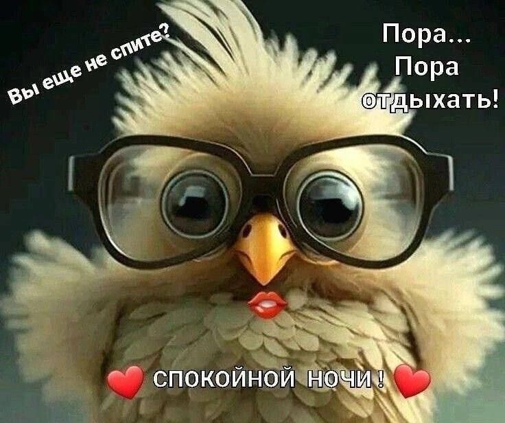 Пора ед Пора ыхать