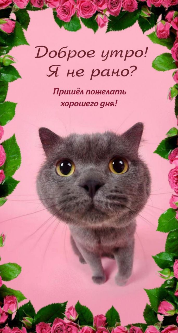 И доброе утро Я не рано Пришёл пише лать хиршиего унд