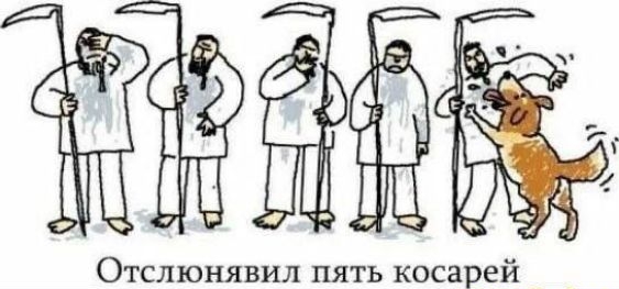 Отслюнявил пять коса ей