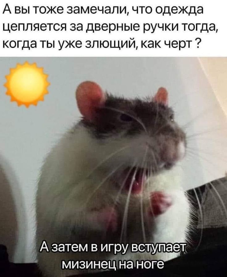 А вы тоже замечали что одежда цепляется за дверные ручки тогда когда ты уже злющий как черт А затем в игру всгУпает мизинец на ноге