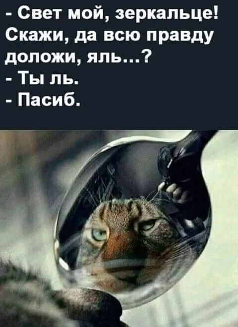 Свет мой зеркальце Скажи да всю правду доложи япь Ты ль Пасиб