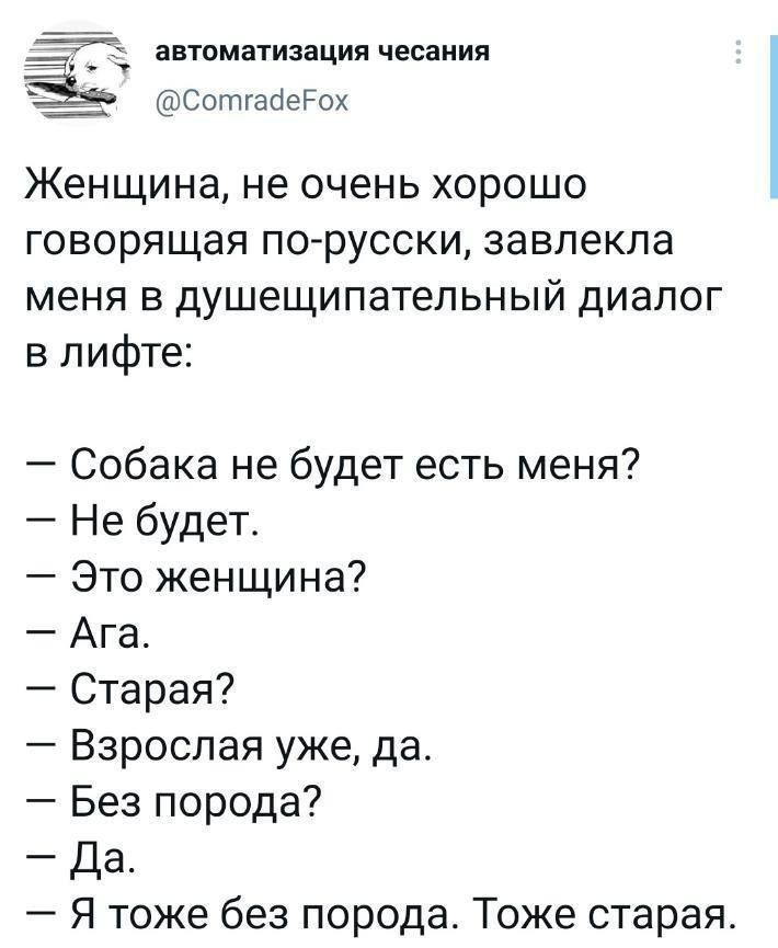 автоматизация чесаиия З Сотгааегох Женщина не очень хорошо говорящая по русски завлекпа меня в душещипательный диалог в лифте Собака не будет есть меня Не будет Это женщина Ага Старая Взрослая уже да Без порода Да Я тоже без порода Тоже старая