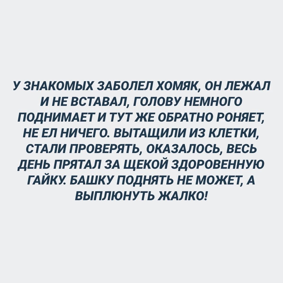 У ЗНАКОМЫХ ЗАБОЛЕП ХОМЯК ОН ЛЕЖАП И НЕ ВсТАВАЛ ГОЛОВУ НЕМНОГО ПОДНИМАЕ Т И ТУТ ЖЕ ОБРАТНО РОНЯЕТ НЕ ЕЛ НИЧЕГО ВЫТАЩИЛИ ИЗ КЛЕТКИ СТАЛИ ПРОВЕРИТЬ ОКАЗАЛОСЬ ВЕСЬ дЕНЬ ПРЯТАП ЗА ЩЕКОЙ ЗДОРОВЕННУЮ Г АЙК БАШК У ПОДНЯТЬ НЕ МОЖЕТ А ВЫПЛЮНУТЬ ЖАЛКО