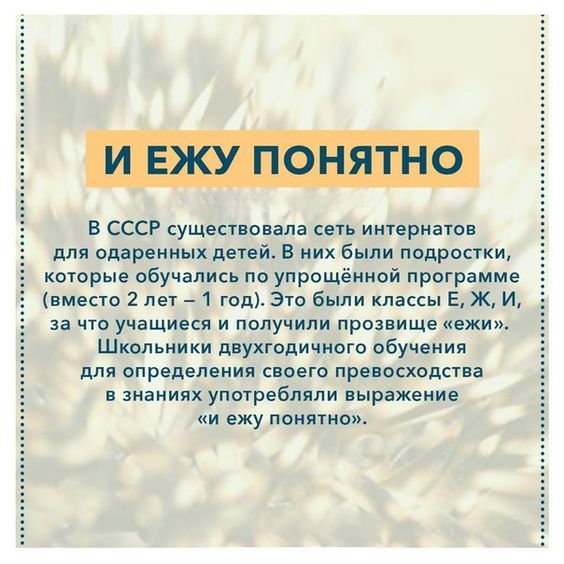 в ссср сущапвовала ириауои для омроиных дот й в них были подростки котрые обучались по упрощенной программе вместо 1 1191 _ 1 год Это в классы Еж и что учащиеся и получили прозпище ежи Школьиики пнухюдичишо обучения для определения споет превосходства п дианипх употребляли пыражеиие и ежу понятно