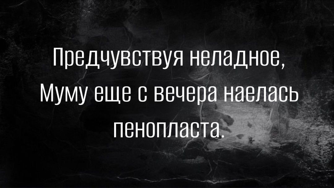 ППВДЧУВСТВУЯ НВПЭДНПВ Муму еще 13 вечер елапь пенопласт