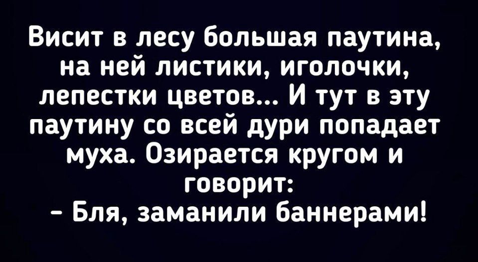 Висит в лесу большая паутина на ней листики иголочки лепестки цветов И тут в эту паутину со всей дури попадает муха Озирается кругом и говорит Бля заманили баннерами