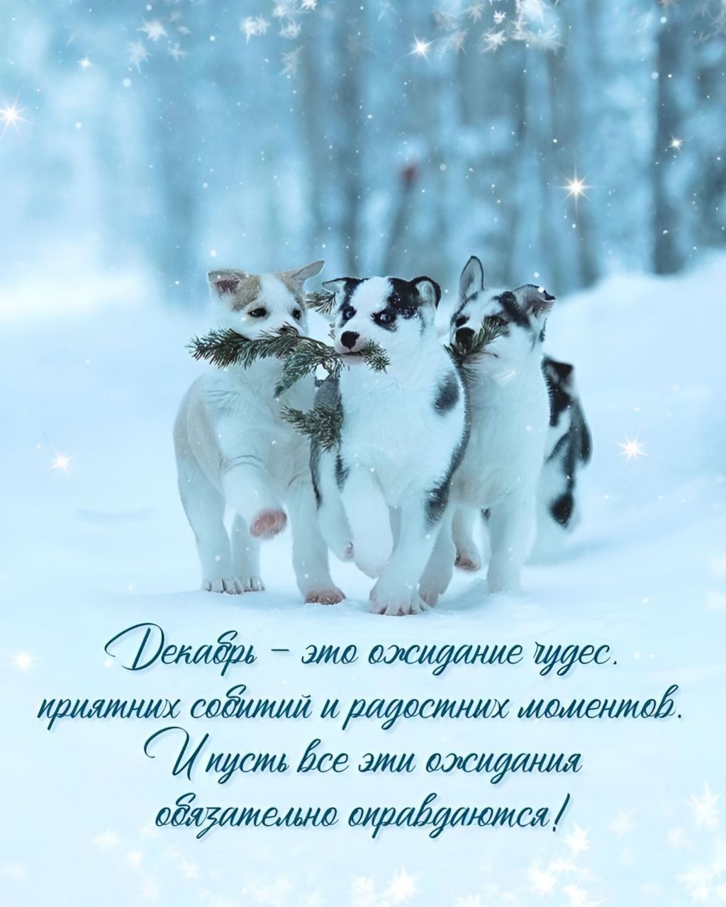 а _ с И 2 ж забит идущим ісе ж тадаш шішмшшш традициям
