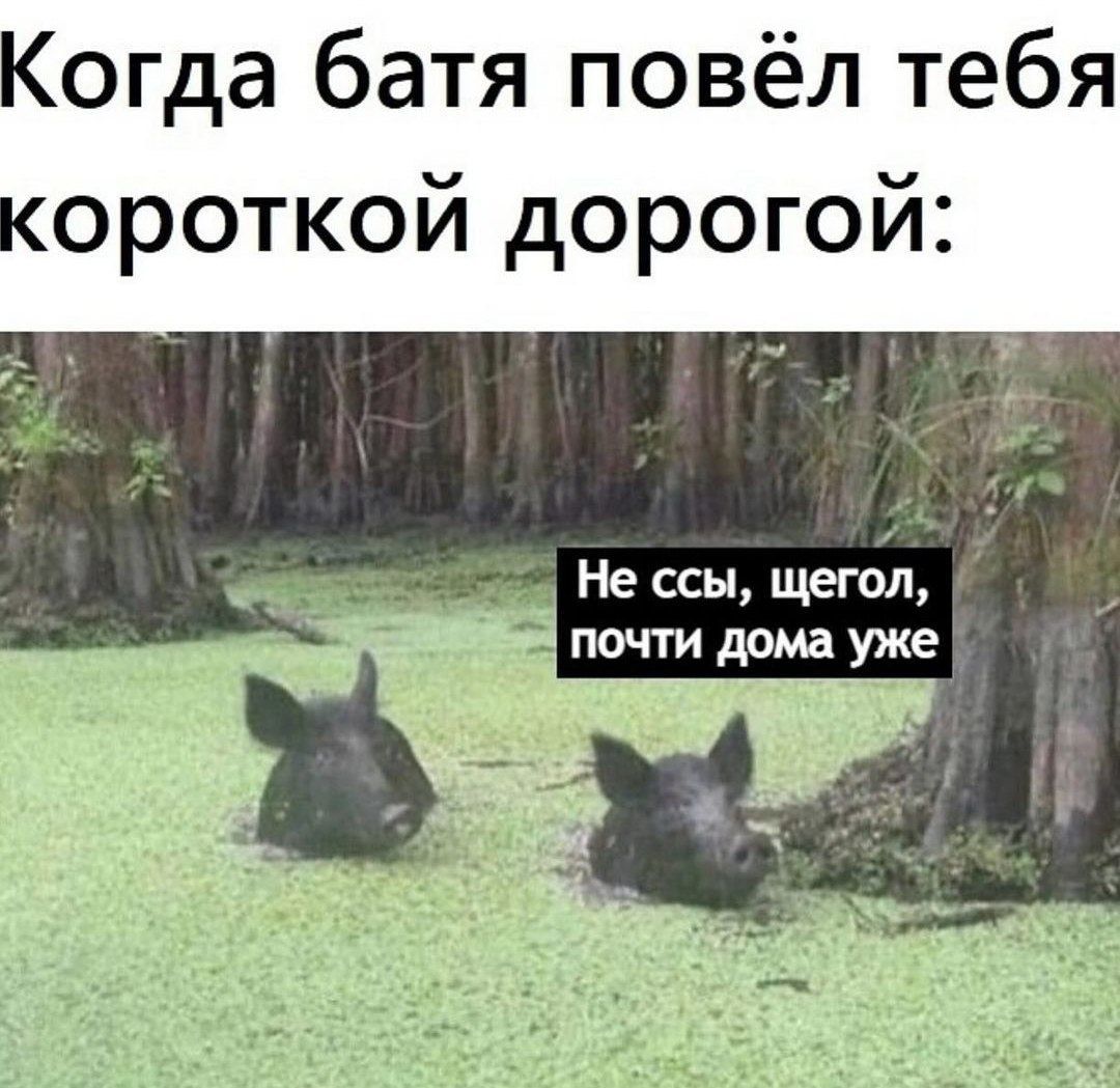 Не ссы щегол почти дома уже _и ч
