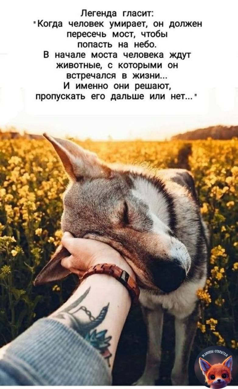 Легенда гласит Когда человек умираеж он должен пересечь мост чтобы попасть на небо В начале моста человека ждут животные с которыми он встречался в жизни И именно они решают пропускать его дальше или нет