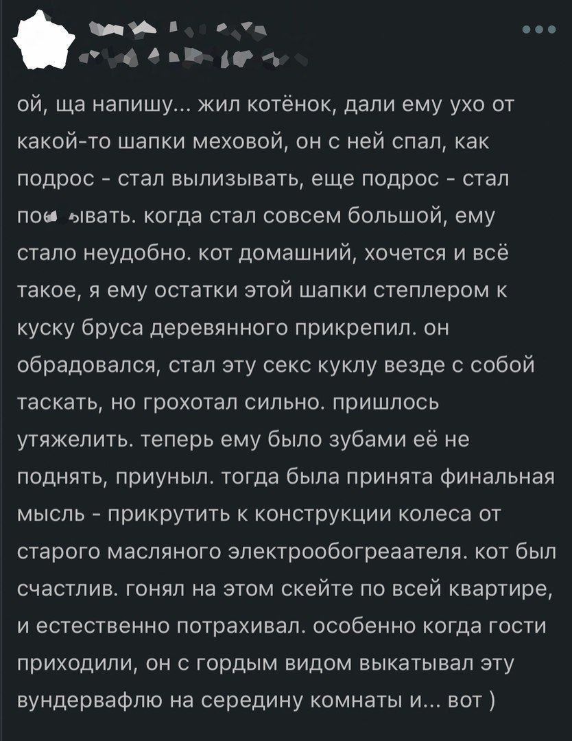 ой Ща напишу жил котёнок дали ему ухо от какойето шапки меховой он с ней спал как подрос стал вылизывать еще подрос стал пои ывать когда стал совсем большой ему стало неудобно кит домашний хочется и всё такое и ему остатки этой шапки степпером куску бруса деревянного прикрепил он обрадовался стап эту секс куклу везде с собой таскать но грохотал сильно пришлось утяжелить теперь ему было зубами ее н
