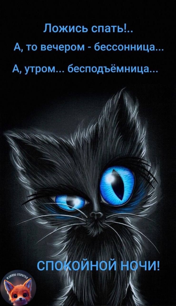 Ложись спать А то вечером бессонница А утром бесподъёмница 24