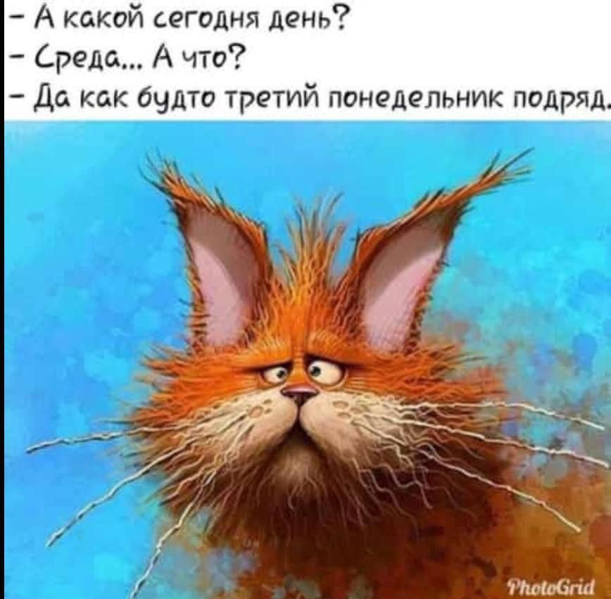 А какой сегодня день Среда А что Да как будто третий понедельник пидряд
