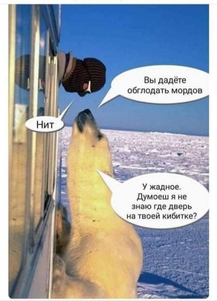 Вы дадете обтодвть мордов думаеш я же знаю где дверь на твоей кибитке