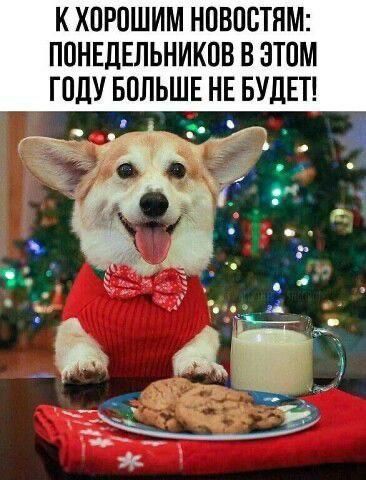 И К ХПРОШИМ НОВОСТЯМ ППНЕДЕЛЬНИКПВ В ЭТОМ Г ПДУ БОЛЬШЕ НЕ БУДЕТ